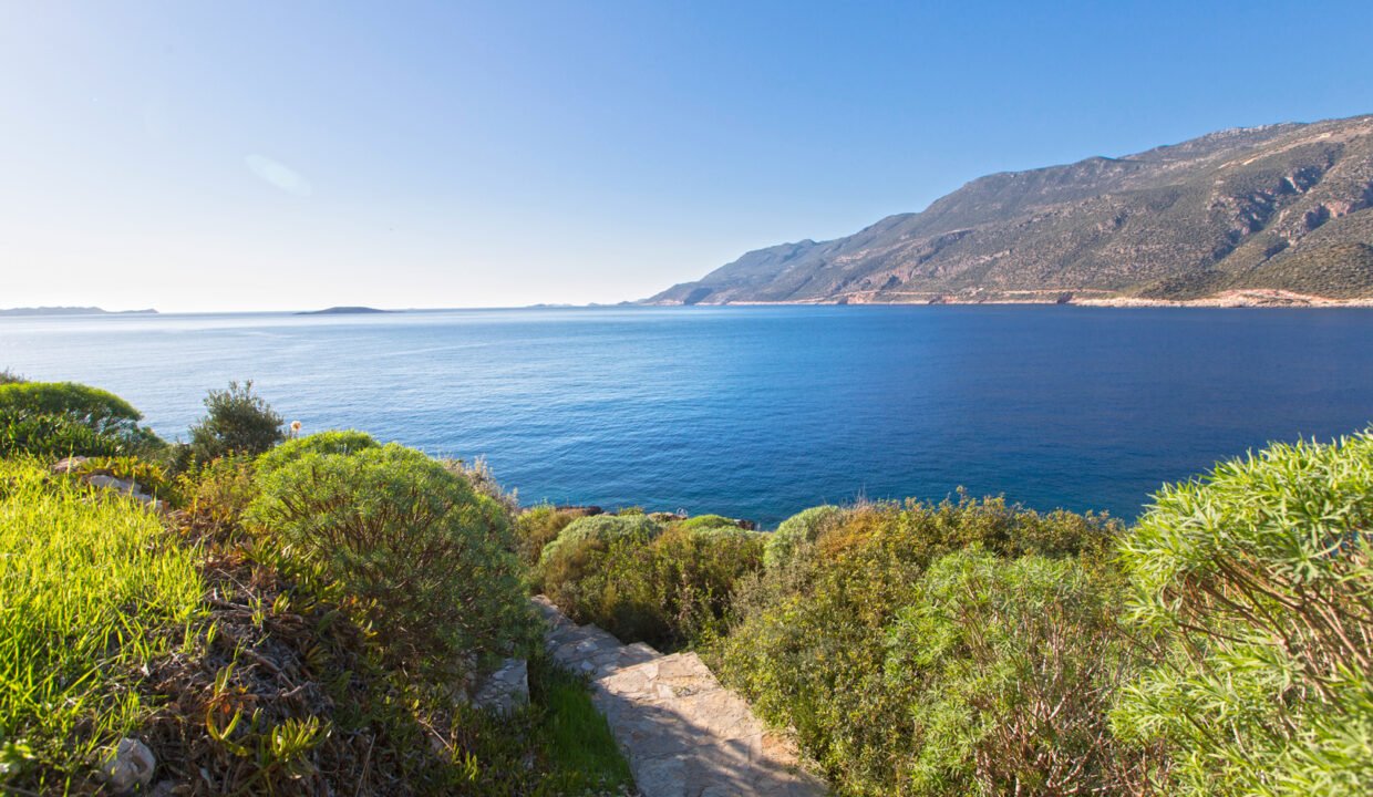 Cape House Villa (7)