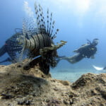 A Guide to Kaş Turkey; A Mediterranean Jewel